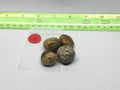 Tumbled Stone Set | Natural Polished Jasper