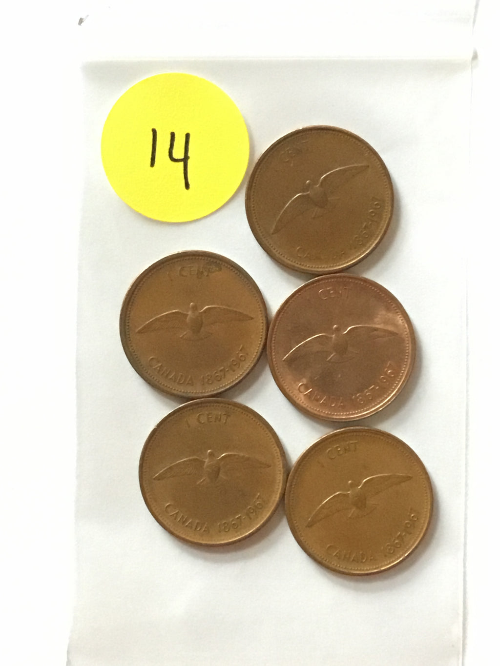 Five 1967 Canada Centennial dove cents, obverse, LVC-014 Lot B